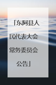 东阿县人民代表大会常务委员会公告